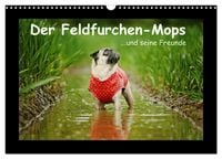 Produktbild: Der Feldfurchen-Mops (Wandkalender 2027 DIN A3 quer), CALVENDO Monatskalender