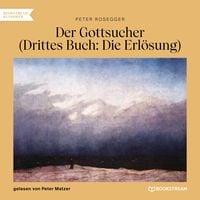 Produktbild: Der Gottsucher (Drittes Buch: Die Erl&ouml;sung)