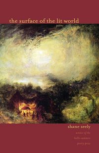 Produktbild: The Surface of the Lit World