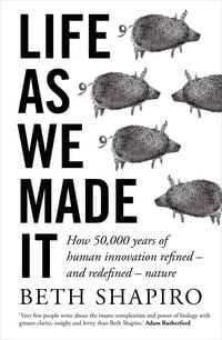 Produktbild: Life as We Made It