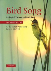 Produktbild: Bird Song