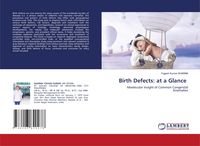 Produktbild: Birth Defects: at a Glance
