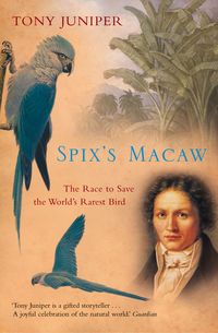 Produktbild: Spix's Macaw