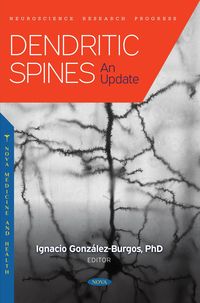 Produktbild: Dendritic Spines: An Update
