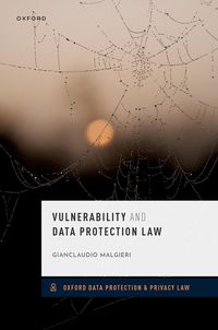Produktbild: Vulnerability and Data Protection Law
