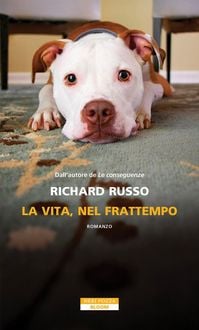 Produktbild: La vita, nel frattempo