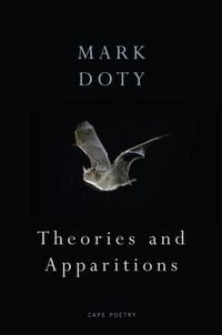 Produktbild: Theories and Apparitions