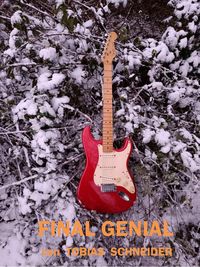 Produktbild: Final Genial