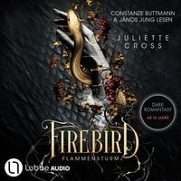 Produktbild: Firebird - Flammensturm, Teil 1