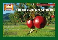 Produktbild: Von der Bl&uuml;te zum Apfelsaft / Kamishibai Bildkarten