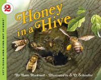 Produktbild: Honey in a Hive