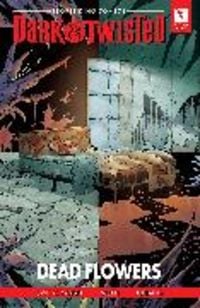 Produktbild: Swierczynski, D: Storm King Comics Dark & Twisted