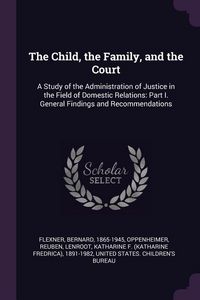 Produktbild: The Child, the Family, and the Court