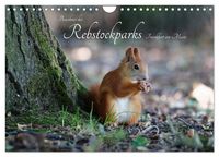 Produktbild: Bewohner des Rebstockparks Frankfurt am Main (Wandkalender 2026 DIN A4 quer), CALVENDO Monatskalender