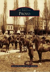 Produktbild: Provo