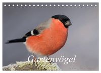 Produktbild: V&ouml;gel aus dem Garten (Tischkalender 2027 DIN A5 quer), CALVENDO Monatskalender