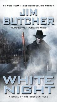 Produktbild: Dresden Files 09. White Night