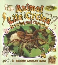 Produktbild: Animal Life Cycles: Growing and Changing