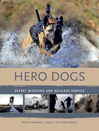 Produktbild: Hero Dogs