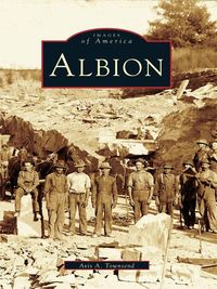 Produktbild: Albion