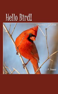 Produktbild: Northern Cardinal (Hello Bird!)