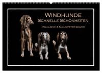 Produktbild: Windhunde - Schnelle Sch&ouml;nheiten (Wandkalender 2026 DIN A2 quer), CALVENDO Monatskalender