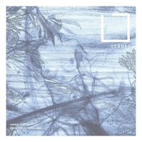 Produktbild: Strues-Extended Version