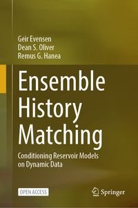 Produktbild: Ensemble History Matching