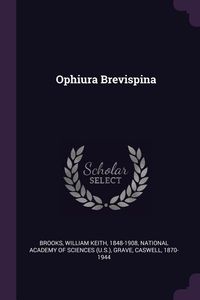 Produktbild: Ophiura Brevispina