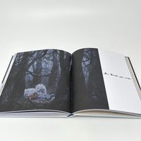 Der Junge, der Maulwurf, der Fuchs und das Pferd. Eine bewegte Geschichte