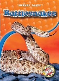 Produktbild: Rattlesnakes