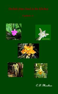 Produktbild: Orchids from Seed in the Kitchen Update 2