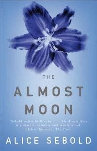 Produktbild: The Almost Moon