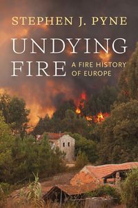 Produktbild: Undying Fire