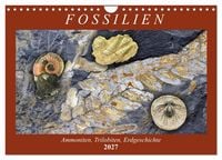 Produktbild: Fossilien - Ammoniten, Trilobiten, Erdgeschichte (Wandkalender 2027 DIN A4 quer), CALVENDO Monatskalender