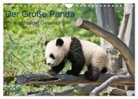 Produktbild: Der Gro&szlig;e Panda Ein kuscheliger Geselle (Wandkalender 2026 DIN A4 quer), CALVENDO Monatskalender