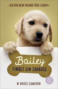 Produktbild: Bailey findet ein Zuhause