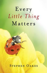 Produktbild: Every Little Thing Matters