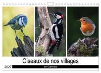 Produktbild: Oiseaux de nos villages en G&acirc;tinais (Calendrier mural 2027 DIN A4 vertical), CALVENDO calendrier mensuel