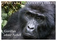 Produktbild: Gorillas ohne Nebel (Tischkalender 2026 DIN A5 quer), CALVENDO Monatskalender