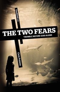 Produktbild: The Two Fears