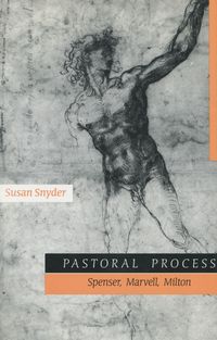 Produktbild: Pastoral Process
