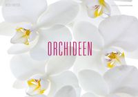 Produktbild: Pawlitzki, M: Orchideen/immerw&auml;hrend