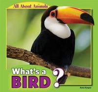 Produktbild: What's a Bird?