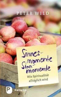 Produktbild: Sinnesmomente - Sinnmomente