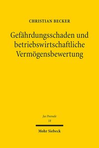 Produktbild: Gefährdungsschaden und betriebswirtschaftliche Vermögensbewertung
