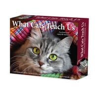 Produktbild: What Cats Teach Us 2026 Box Calendar