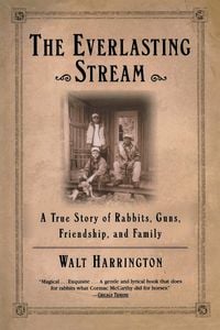 Produktbild: The Everlasting Stream