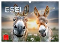 Produktbild: Esel - Humor mit langen Ohren (Wandkalender 2027 DIN A3 quer), CALVENDO Monatskalender