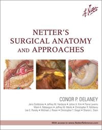 Produktbild: Netter's Surgical Anatomy and Approaches